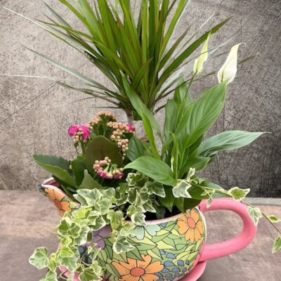 Composición de plantas de interior sobre recipiente de cerámica.