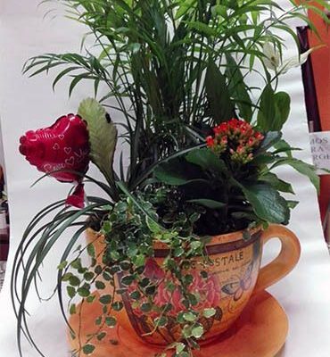 Taza de Plantas