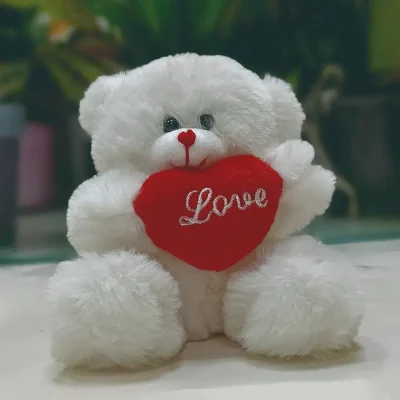 Osito de peluche san valentin amor