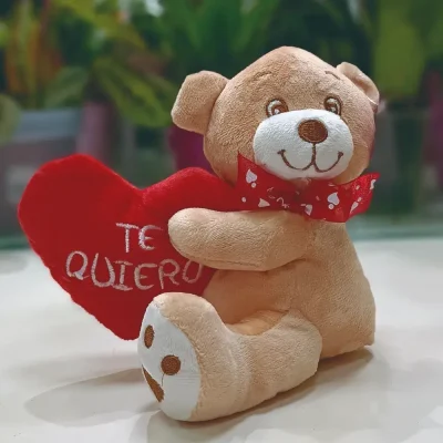 Osito de peluche San valentin Corazon