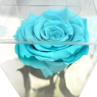 rosa etenerna turquesa corta foto desde arriba