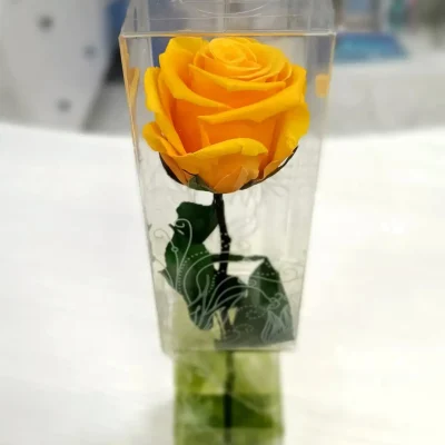rosa eterna amarilla corta foto principal