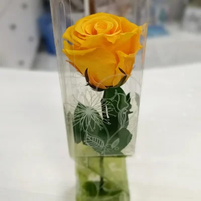 rosa eterna amarilla corta plano dos