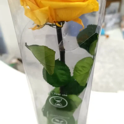 rosa eterna amarilla premium