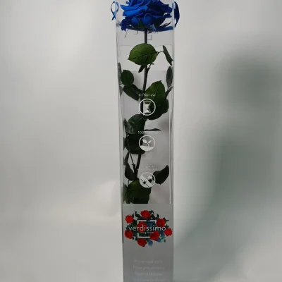 rosa eterna azul premium