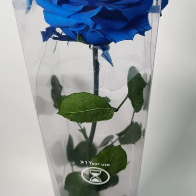 rosa eterna azul premium