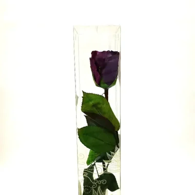 rosa-eterna-morada-larga