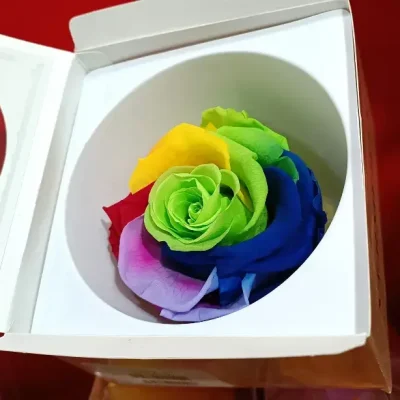 Rosa Eterna Multicolor Cabeza en caja