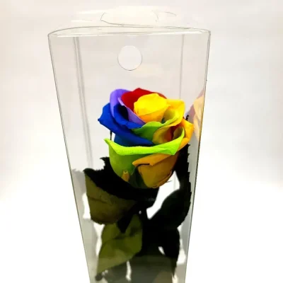 rosa eterna multicolor larga
