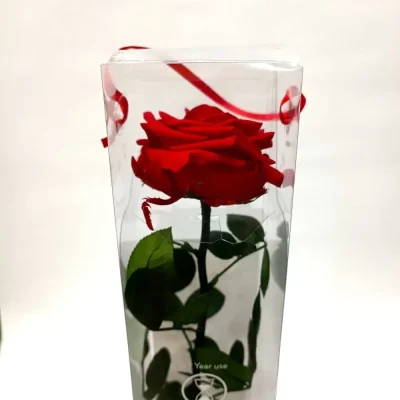 rosa eterna roja premium