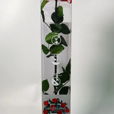 rosa eterna rosa premium